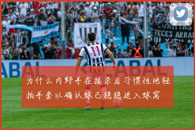 为什么内野手在接杀后习惯性地轻拍手套以确认球已稳稳进入球窝