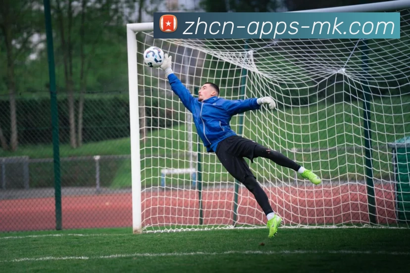 mk体育平台生态图