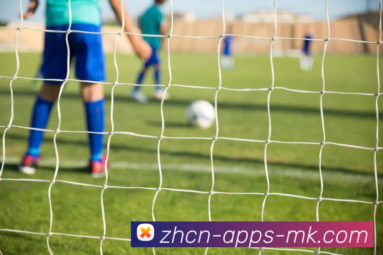 mk体育全站App